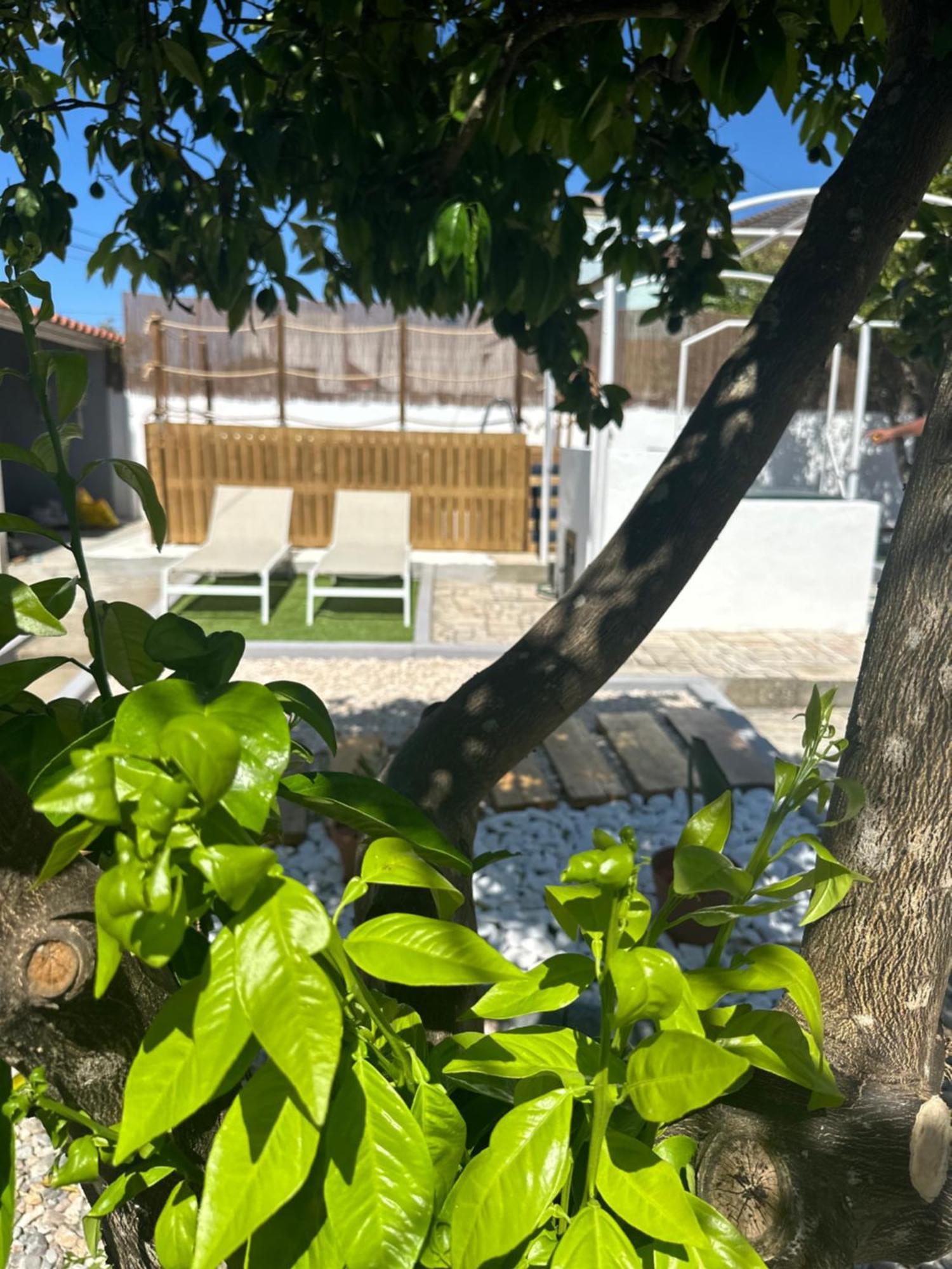 Casa Sulydance Villa Torrão Dış mekan fotoğraf